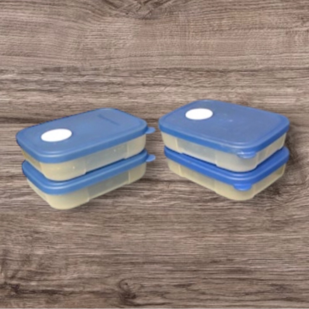 Blue Plastic Food Storage Containers with Lids - Set of 4